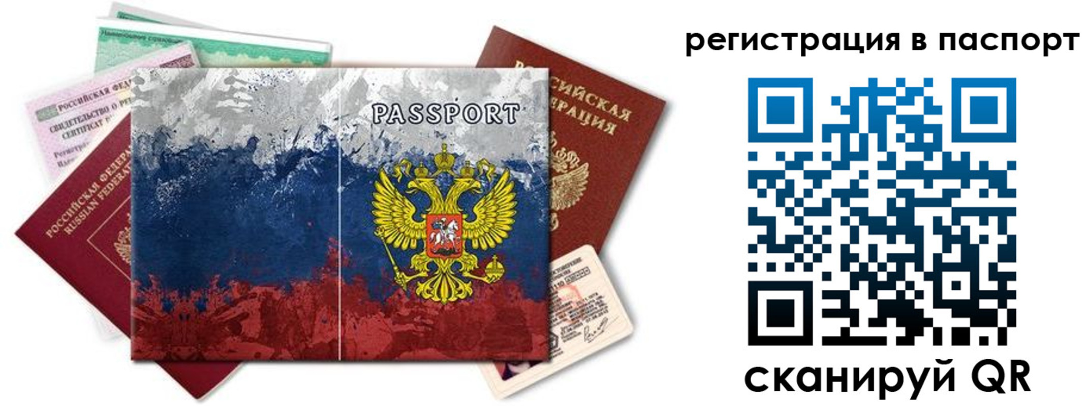 прописка поиск в Армавире